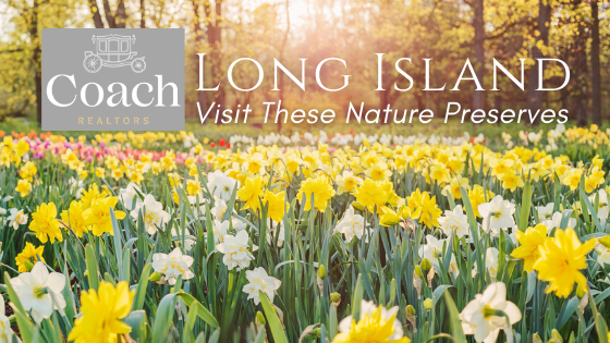 Nature Preserves Around Long Island - Coach Realtors